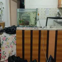 خانه|اجارهٔ آپارتمان|مشهد, بهمن|دیوار