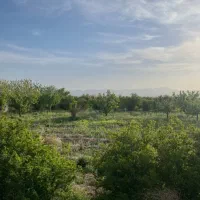 فروش ۲ ساعت آب چاه به همراه باغ|فروش خانه و ویلا|خواف, |دیوار