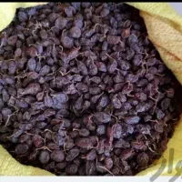 کشمش و مویز