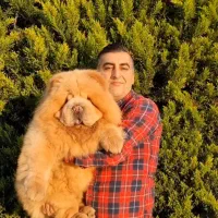 چاوچاو وارداتی جهت کشش|سگ|امیرکلا, |دیوار