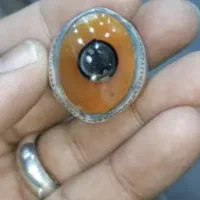 انگشتر و سر کتاب فال فقط قرآن|جواهرات|دزفول, |دیوار