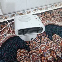 هیتر فندار پنکی