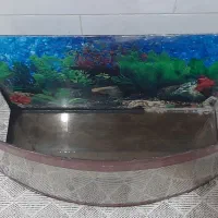 آکواریوم منحنی|ماهی|اقبالیه, |دیوار