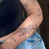 انجام خدمات تتو بدن