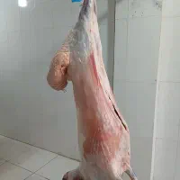 قصابی برادران کرمی نمره ۲