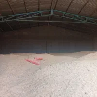 ۳۰۰ خروار کاه به فروش میرسد