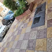 فدک شهرک آسمان ۸۵متری نوساز آسانسوردار بدون وام|فروش آپارتمان|شاهرود, |دیوار