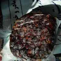 خرمایی بحرینی|خوردنی و آشامیدنی|رودخانه, |دیوار