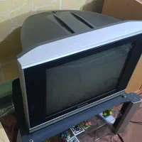 تلویزیون|تلویزیون و پروژکتور|کنارک, |دیوار