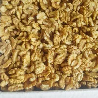 فروش گردو و مغز گردو روغنی کردستان کلی و جزئی|خوردنی و آشامیدنی|اورامان, |دیوار