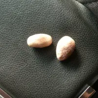 مهره