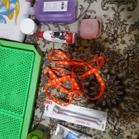 لوازم مورد نیاز پِت|لوازم جانبی حیوانات|کاشان, آیت الله سعیدی|دیوار