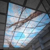 سقف کاذب pvc /پارتیشن بندی / برچسب کابینت /|خدمات پیشه و مهارت|زنجان, |دیوار