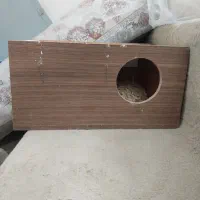 اشیونه پرنده