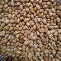 تقریبا۴تا۵کیلو ماش کیلو ۳۵۰ت پاک شده تمیز