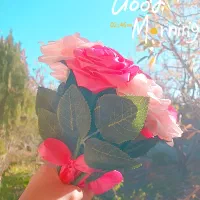 رز روبانی|گل مصنوعی|مشگین شهر, |دیوار