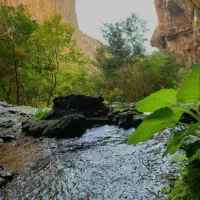 همکاری تولید محتوا ادیتور