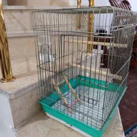 قفس عروس هلندی سالم|لوازم جانبی حیوانات|ورامین, خیر آباد|دیوار