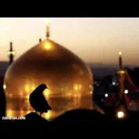 تور ریلی ویژه ی نوروز مشهدالرضا