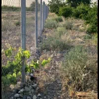 ۵۰۰۰ متر باغ|فروش زمین و ملک کلنگی|جعفرآباد, |دیوار