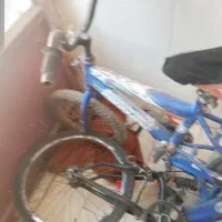 دوچرخه|دوچرخه، اسکیت، اسکوتر|قم, شاد قلی|دیوار