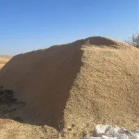 انواع کاه نخود گندم عدس لوبیا