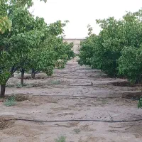 باغ-استخر-خانه-باغ