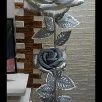 کنار سالنی ۲