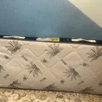 تشک تخت نوجوان