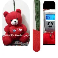 خرس های ولینتاین کودک شازده