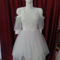 پیراهن کوتاه|لباس|تربتحیدریه, بوستان باغ ملی|دیوار