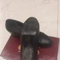 کفش مجلسی|کیف، کفش، کمربند|سنقر, |دیوار