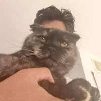 دخترای ناز رایگان