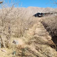 باغ بدون مشکل جهاد باآب وبرق