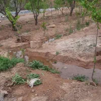 باغچه-500-متری