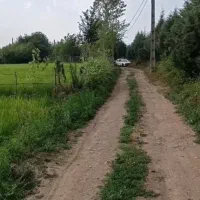 فروش 312 زمین تخفیف بلک فرایدی|فروش زمین و ملک کلنگی|املش, |دیوار