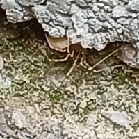 زمین اندیشه سنددار