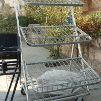 استند ذغال استند میوه