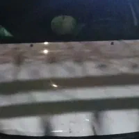 کاپوت بی‌رنگ‌ ساینا/بالولای فابریک/نیاز به تعمیر|قطعات یدکی و لوازم جانبی|تهران, هاشمی|دیوار