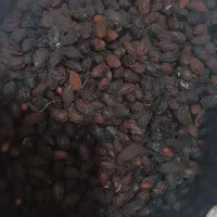 گردو محلی و اخته زغال|خوردنی و آشامیدنی|قزوین, |دیوار