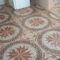 یک اتاق مشترک اجاره داده میشود