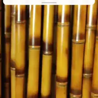 نی بامبو ، چوب|گل مصنوعی|چهاردانگه (تهران), |دیوار