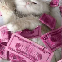 استخدام فوری