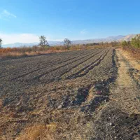 زمین کشاورزی جاده چناقلو