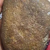 سنگ باستانی|کلکسیون اشیاء عتیقه|تهران, آرارات|دیوار