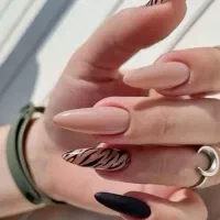 نیازمند مدل رایگان|خدمات آرایشگری و زیبایی|رشت, کاکتوس|دیوار