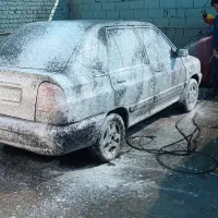 نیروی کارواش