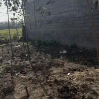 فروش زمین مسکونی ۲۸۰ متر|فروش زمین و ملک کلنگی|رشت, حومه رشت|دیوار