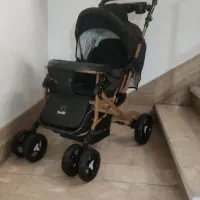 کالسکه|کالسکه و لوازم جانبی|رشت, پاستوریزه|دیوار