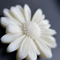 شمع بابونه هرعدد  ۲۵ت|صنایع دستی و سایر لوازم تزئینی|کامیاران, |دیوار